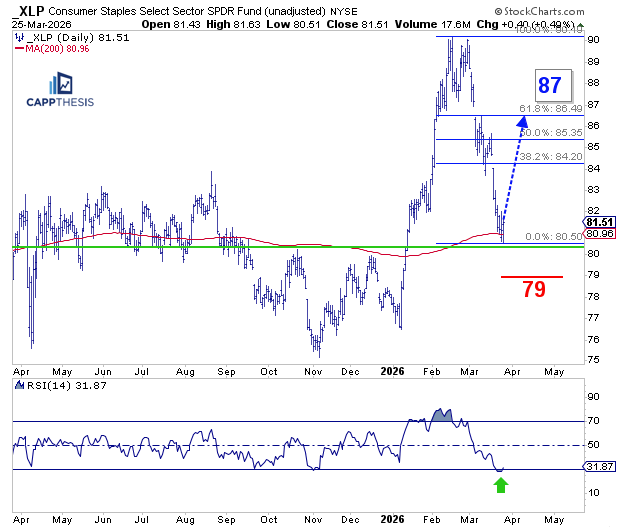 Xlp Spring Rate Momentum Still Dragging - CappThesis